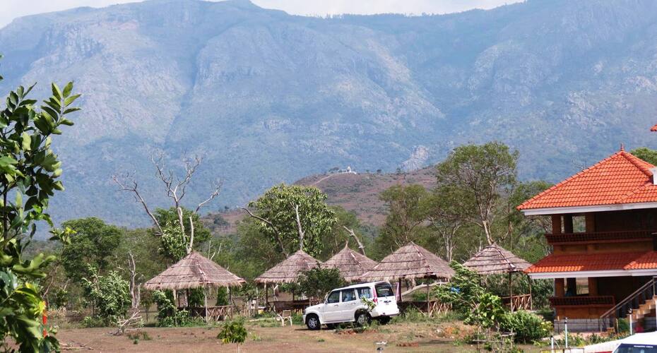 Wild Wood Haven, Masinagudi 3